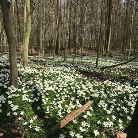 Am Stadtwald In An Der Lippe / Nrw Apartamento *